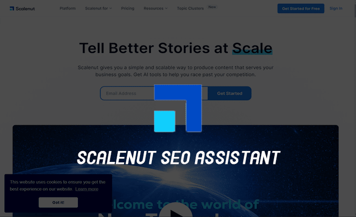 Scalenut SEO Assistant