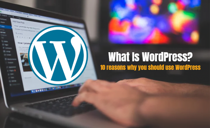 What Is WordPress website. 10 reasons why you should use WordPress